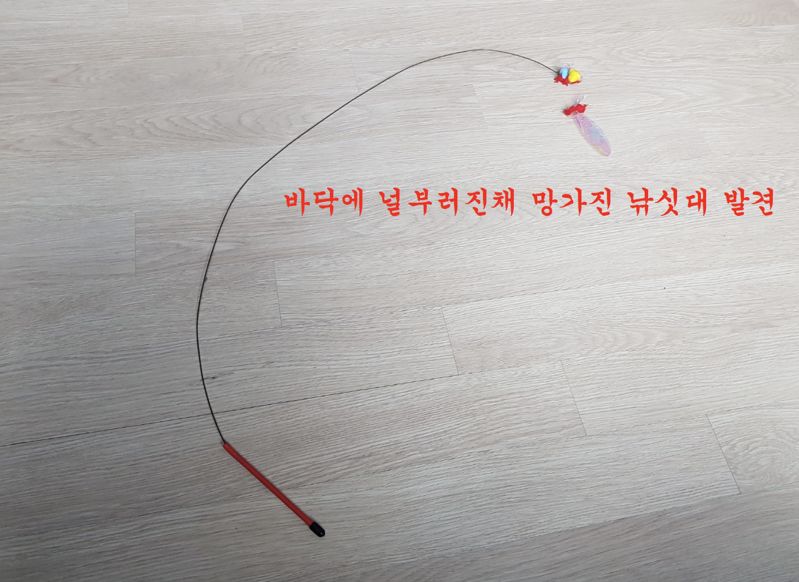 스크린샷 2018-07-06 오전 7.13.11.png