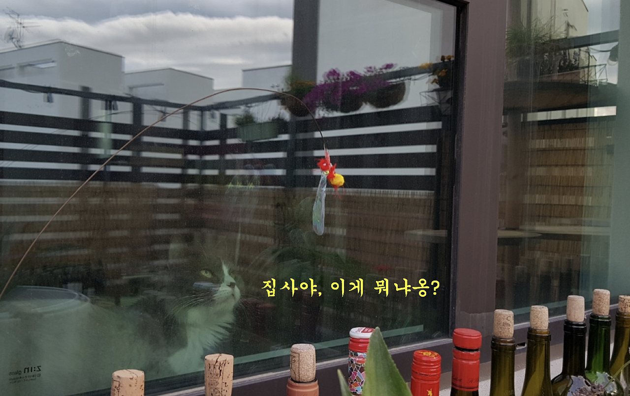 스크린샷 2018-07-06 오전 7.28.43.png