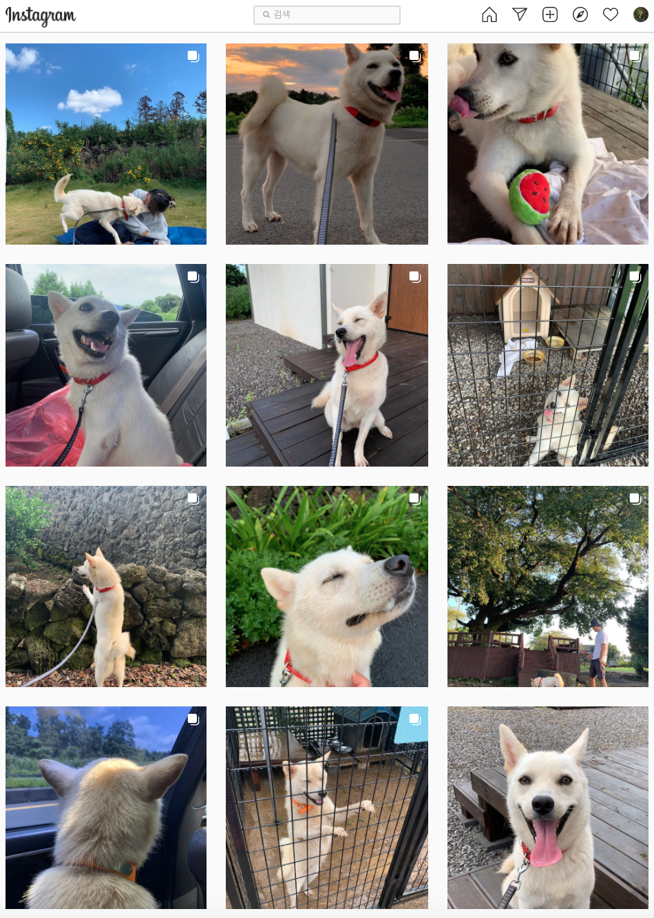 스크린샷 2021-11-24 오후 8.39.34.png