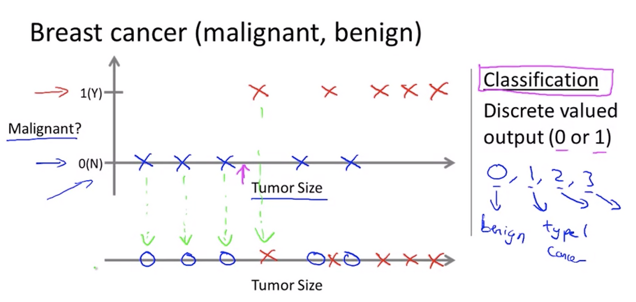 Screen Shot 2020-09-22 at 7.08.25 PM.png