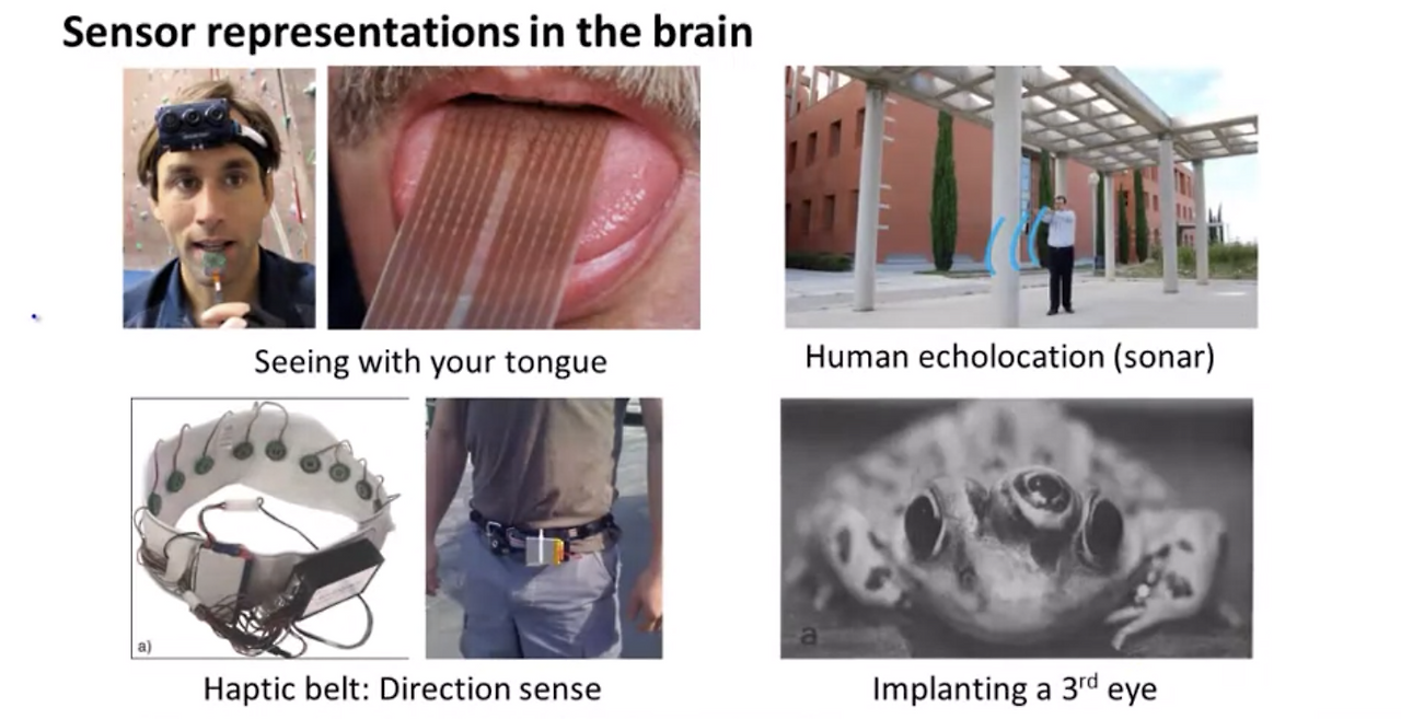 Screen Shot 2020-10-21 at 9.43.24 PM.png