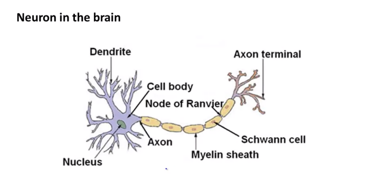 Screen Shot 2020-10-21 at 10.38.06 PM.png