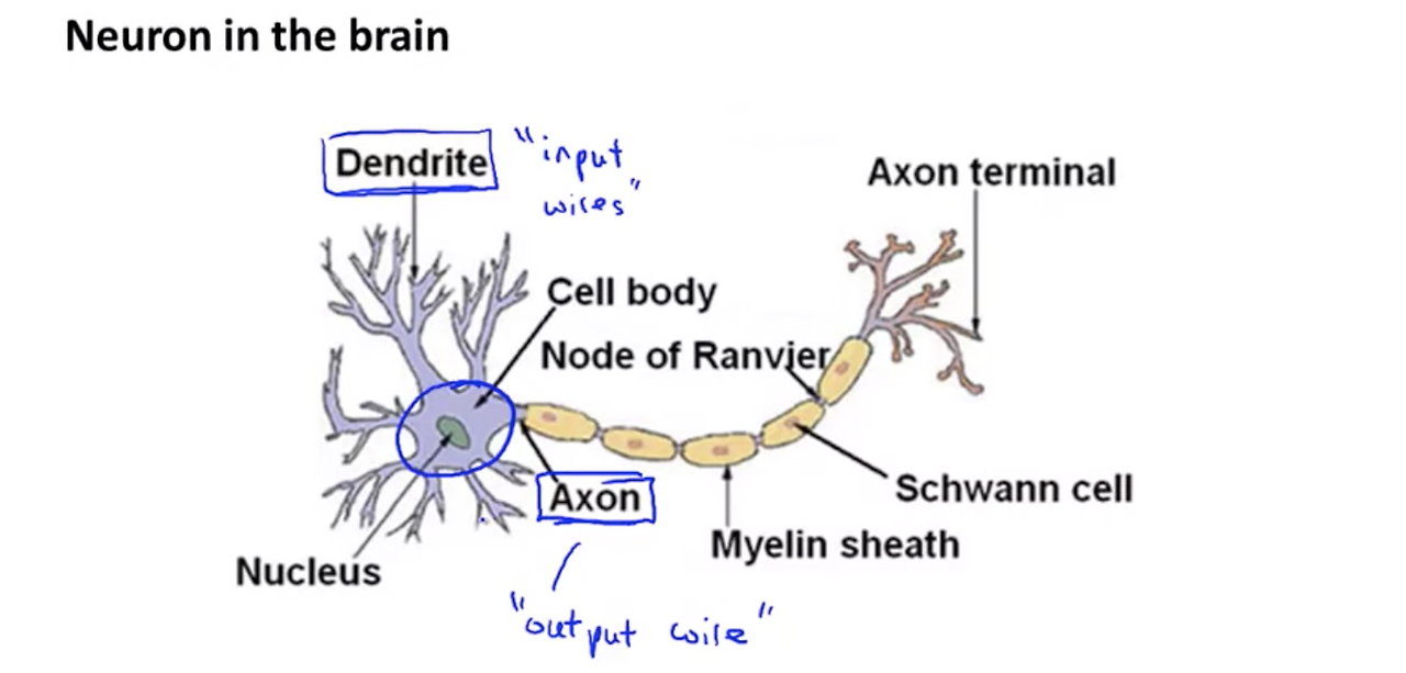 Screen Shot 2020-10-21 at 10.39.58 PM.png