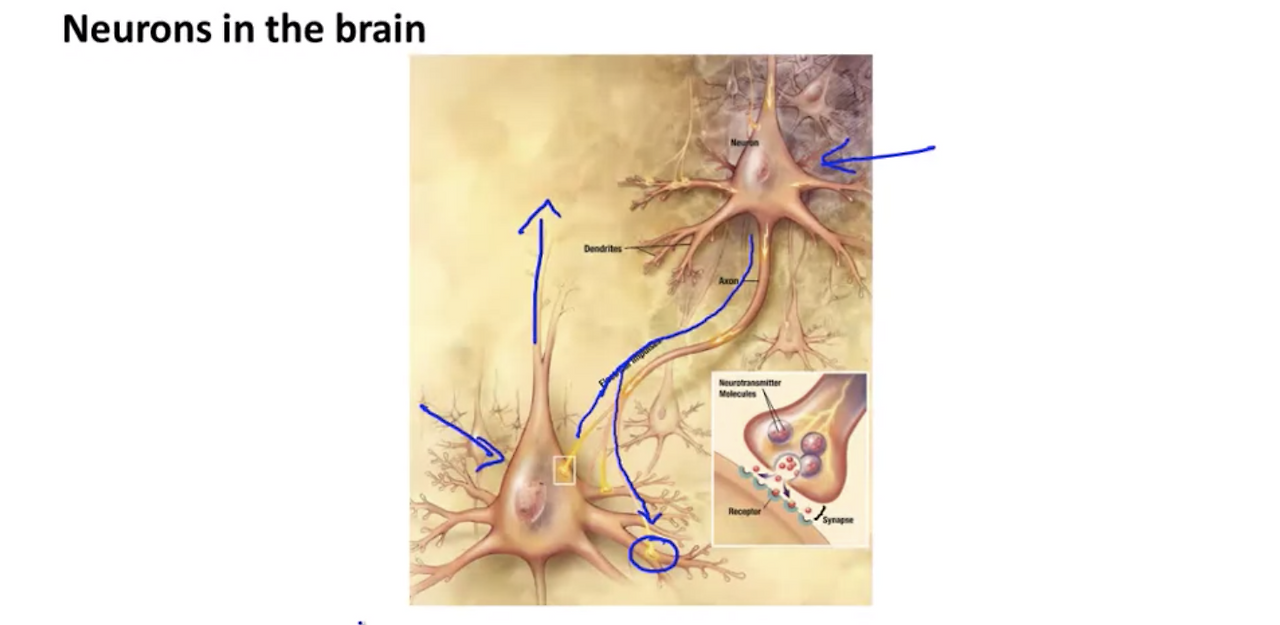 Screen Shot 2020-10-21 at 10.55.34 PM.png