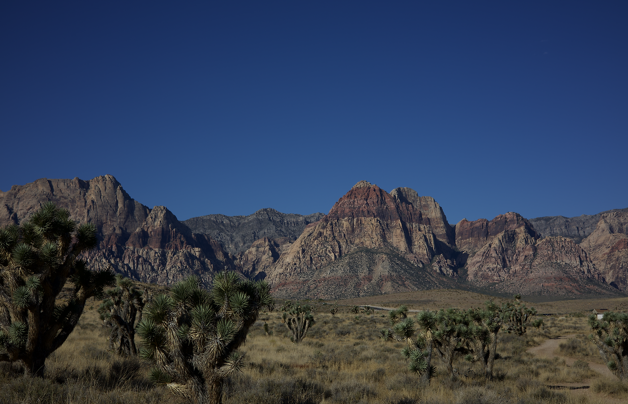 Screenshot 2024-10-22 at 8.59.27 PM.png