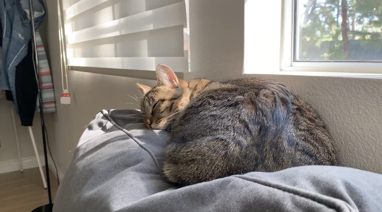 Screenshot 2024-10-27 at 2.44.11 PM.png