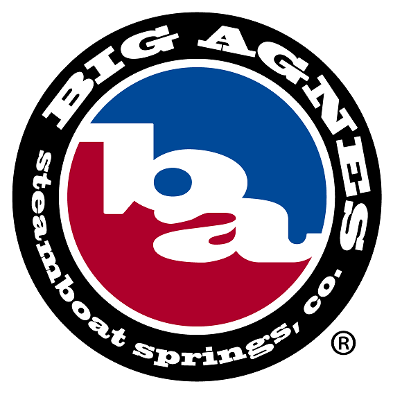 빅아그네스 로고.png