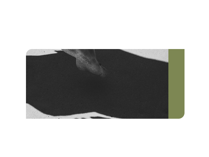 (썸네일) 세상은 호락호락하지 않다.png