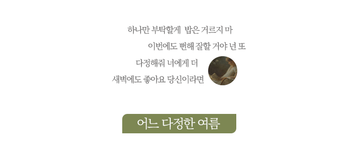 어느 다정한 여름.png