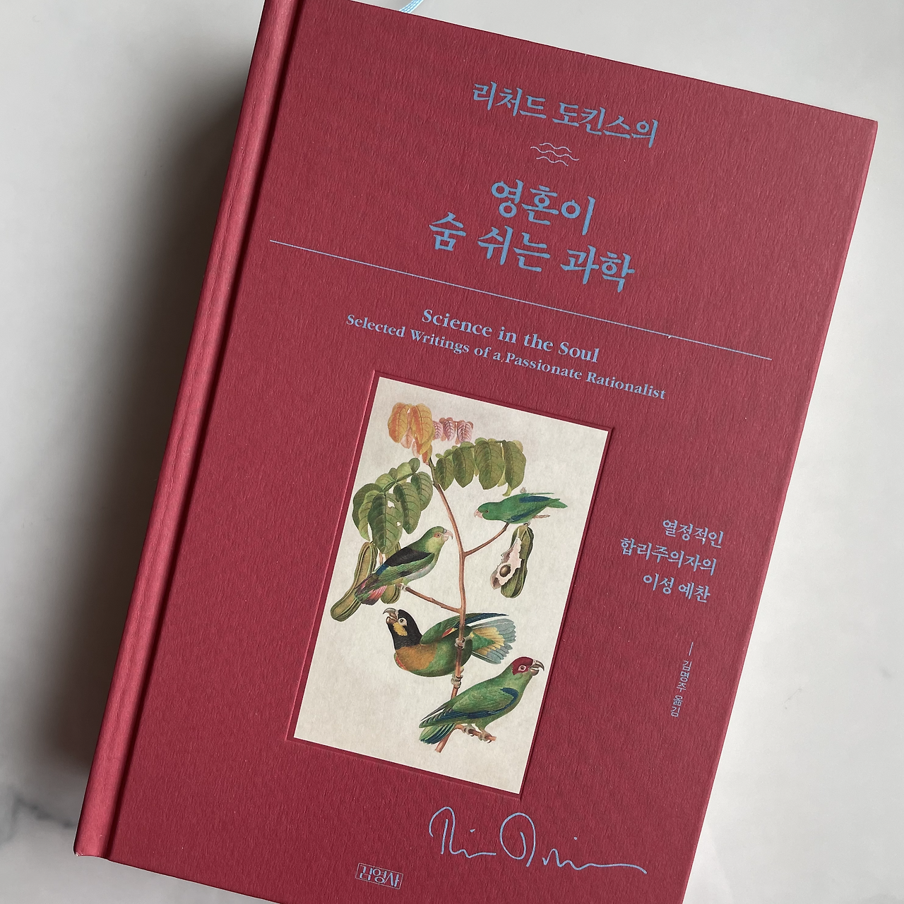 Screen Shot 2021-04-28 at 10.36.27 AM.png