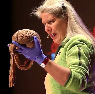 스크린샷 2025-09-01 110147.png