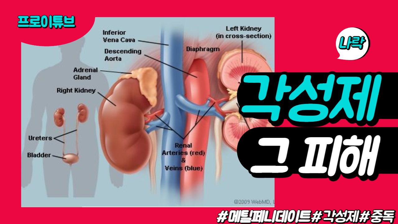 제목을 입력해주세요_-001 (55).png