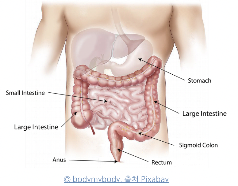 Screen Shot 2022-11-21 at 11.14.31 PM.png