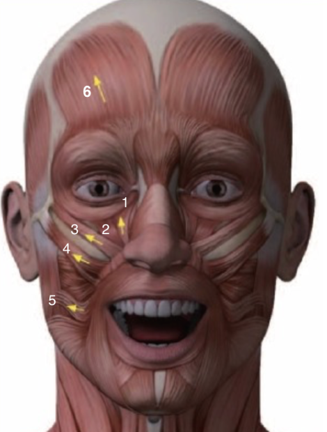 스크린샷 2018-01-30 오후 1.25.00.png