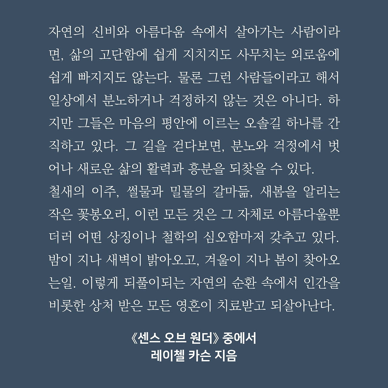 인스타리뷰 2.png