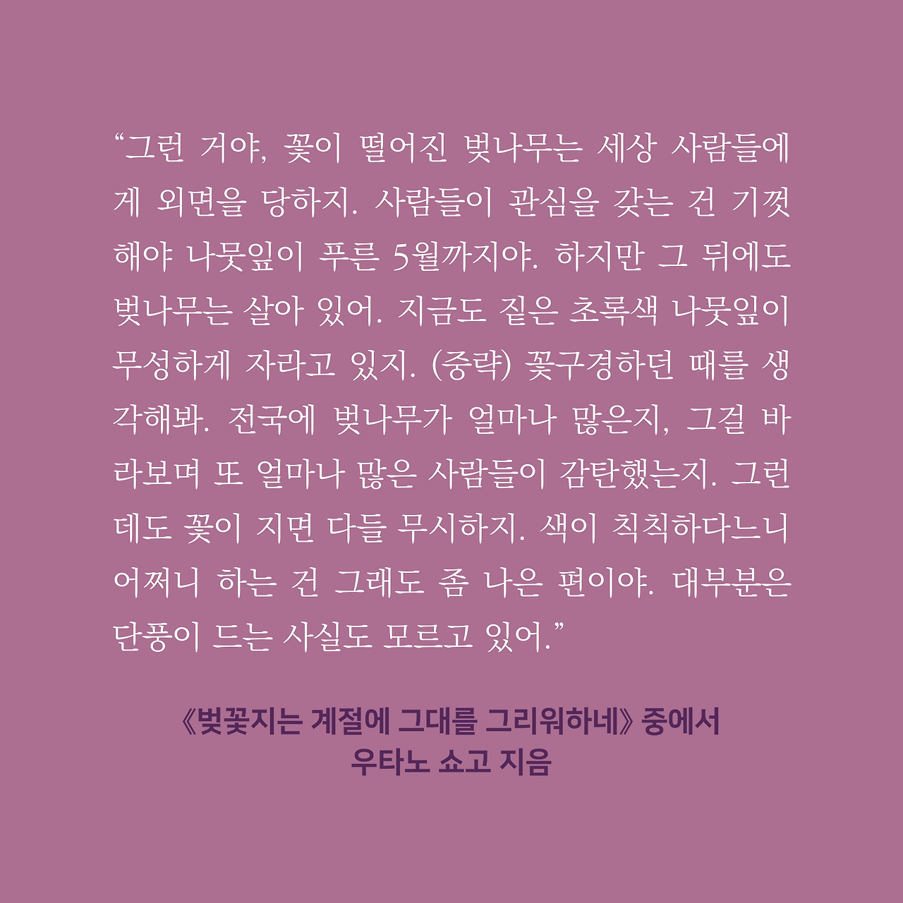 인스타리뷰 2.png