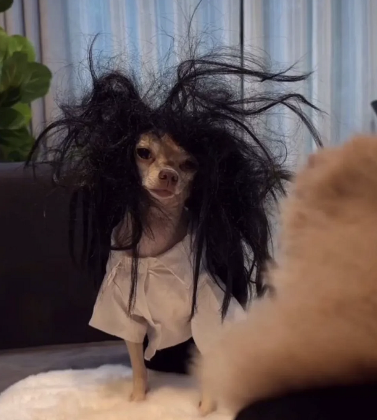 Screenshot 2025-04-22 at 5.20.21 PM.png