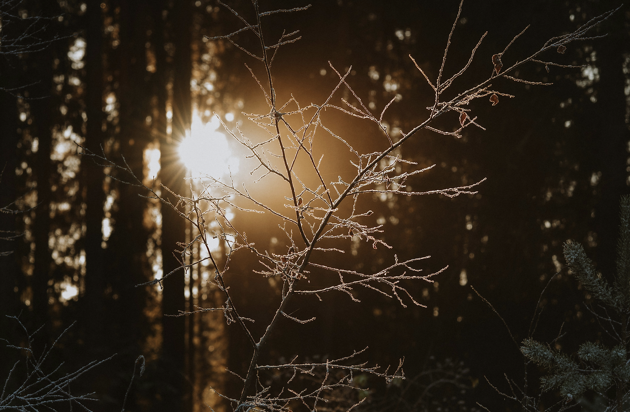 Screenshot 2026-01-02 at 8.36.57 AM.png