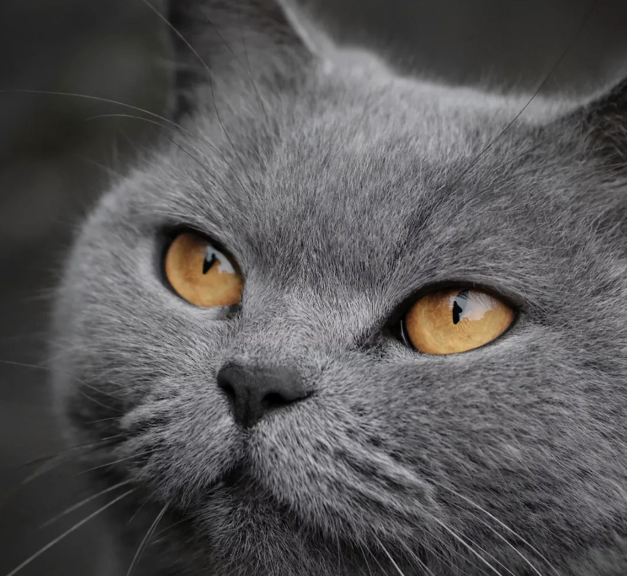 Screenshot 2025-04-22 at 5.44.46 PM.png