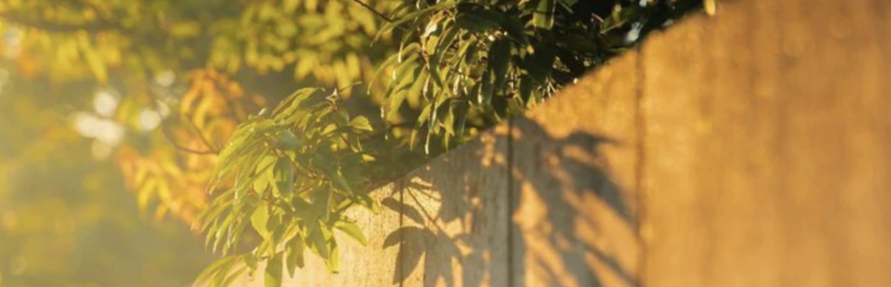 Screenshot 2025-09-24 at 6.43.13 PM.png