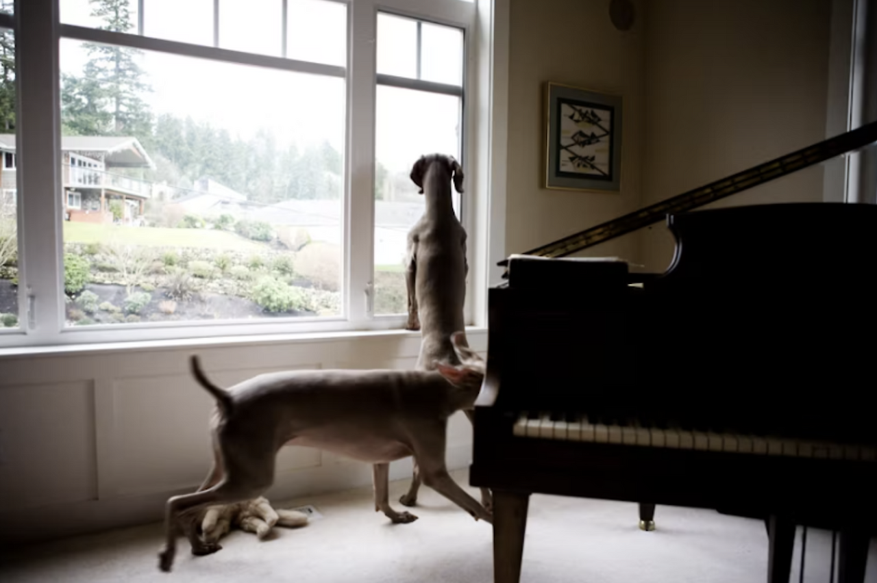 Screenshot 2025-03-13 at 9.05.39 PM.png