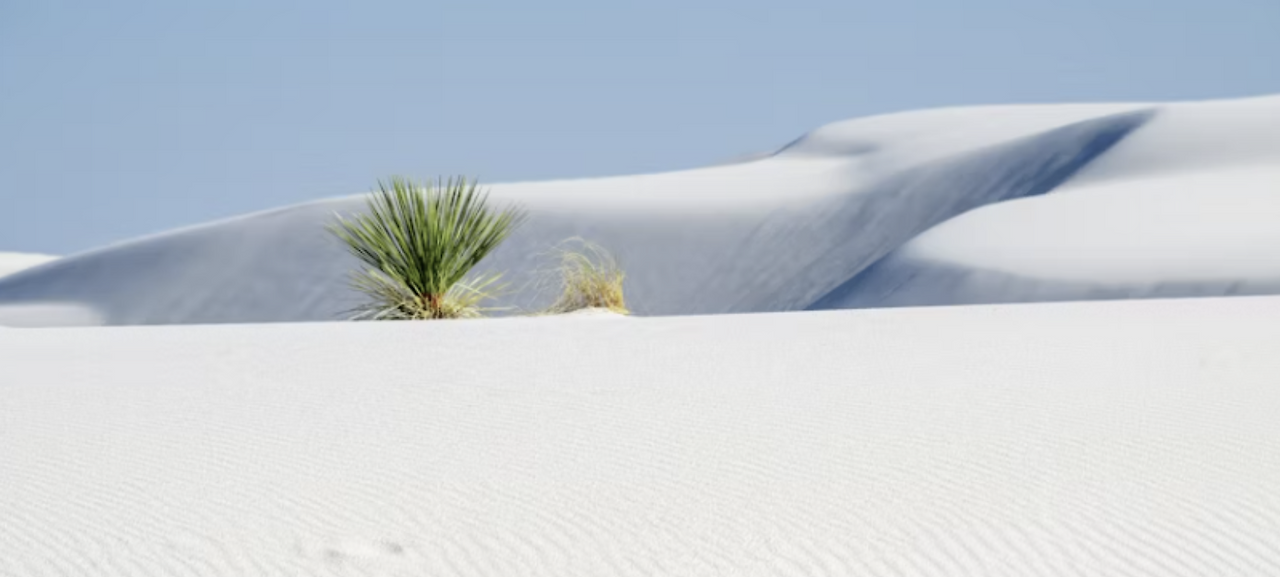 Screenshot 2025-03-09 at 9.33.43 PM.png