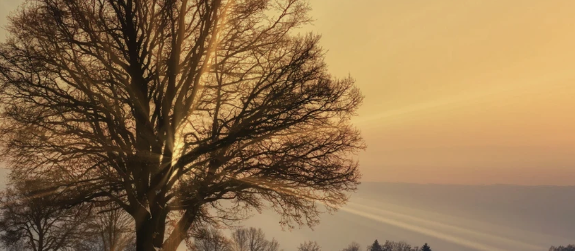 Screenshot 2025-11-06 at 7.38.27 PM.png