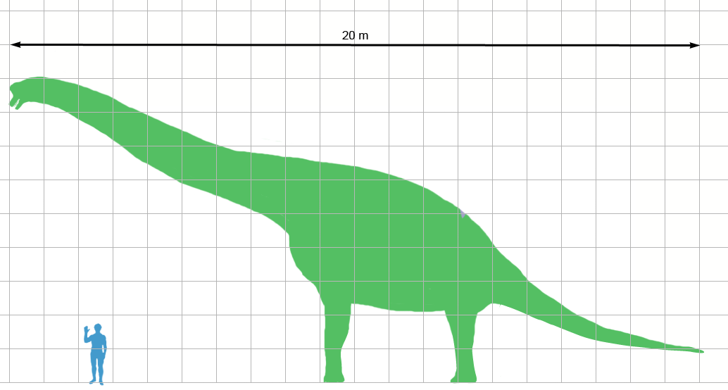Giraffatitan_scale.png