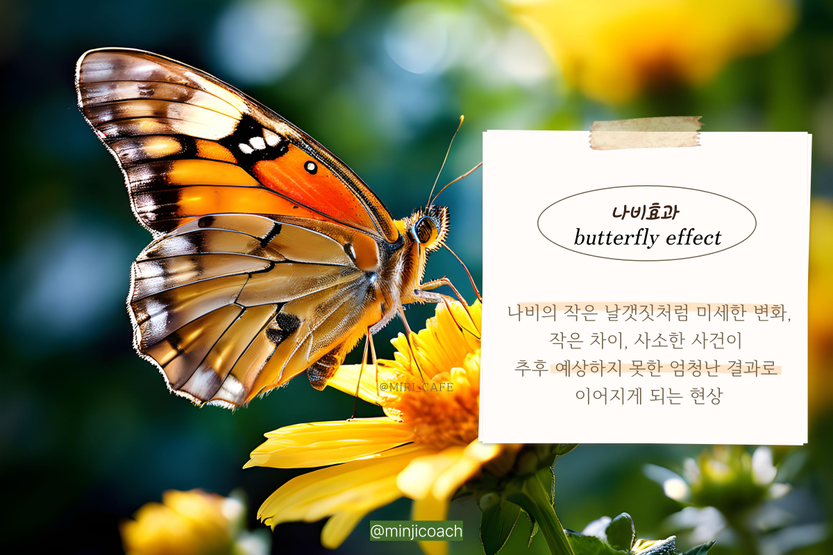 브런치1_25_03_11_-001 (2).png