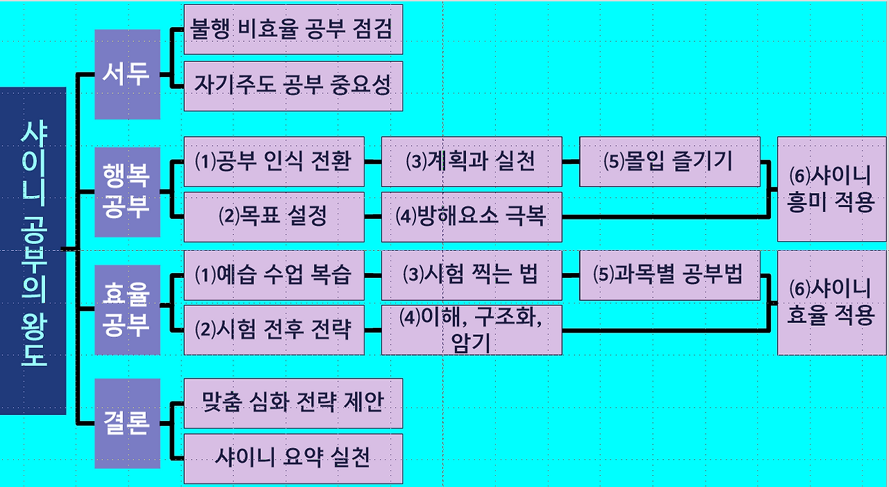 황보현_샤이니 공부의 왕도 수업 조직도.png