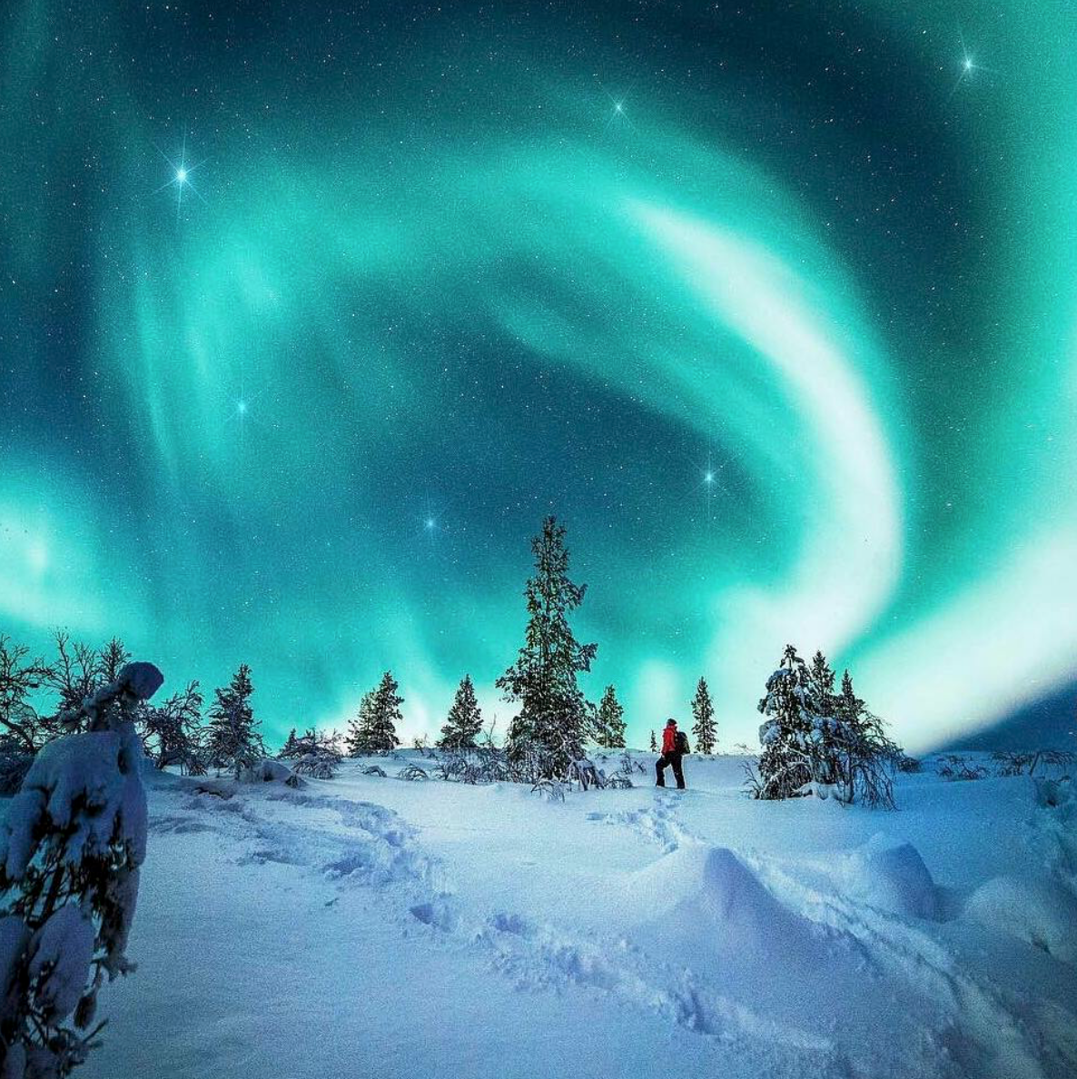 스크린샷 2018-08-21 오후 12.05.25.png