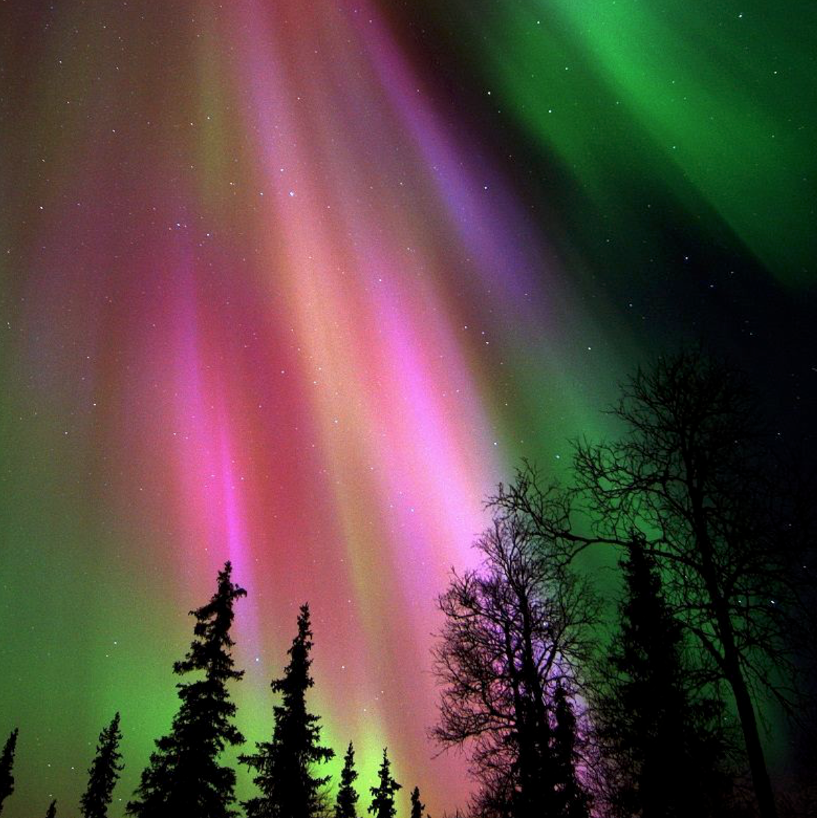 스크린샷 2018-08-21 오후 12.02.53.png