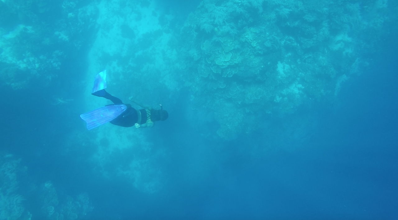 스크린샷 2018-08-20 오전 9.27.20.png