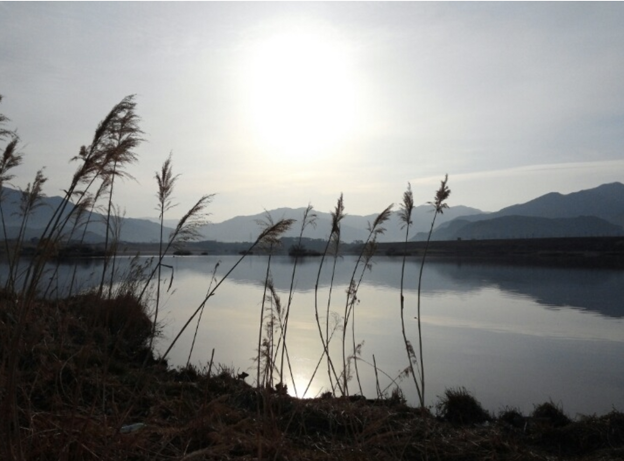 스크린샷 2025-08-10 오후 4.57.19.png