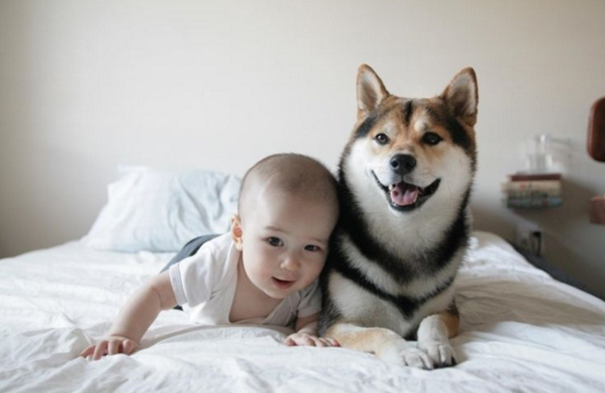 스크린샷 2016-05-14 오후 11.06.02.png