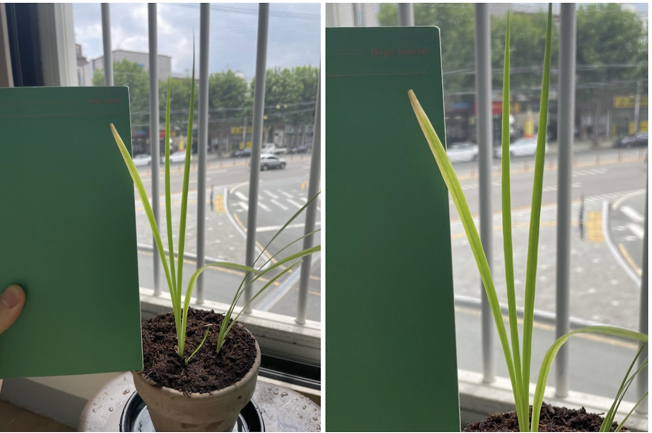 스크린샷 2021-08-25 오후 4.38.28.png