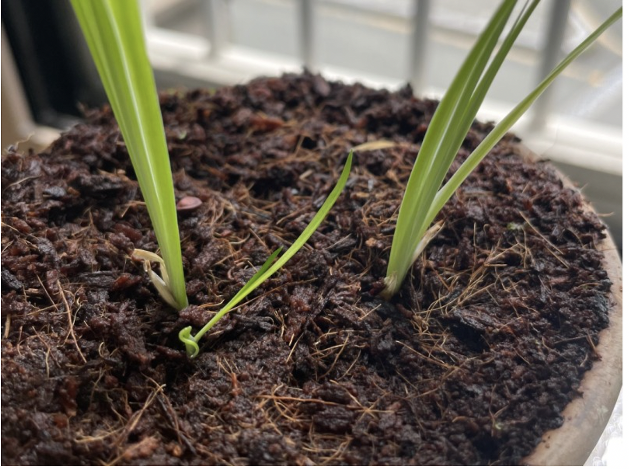 스크린샷 2021-08-25 오후 4.38.33.png