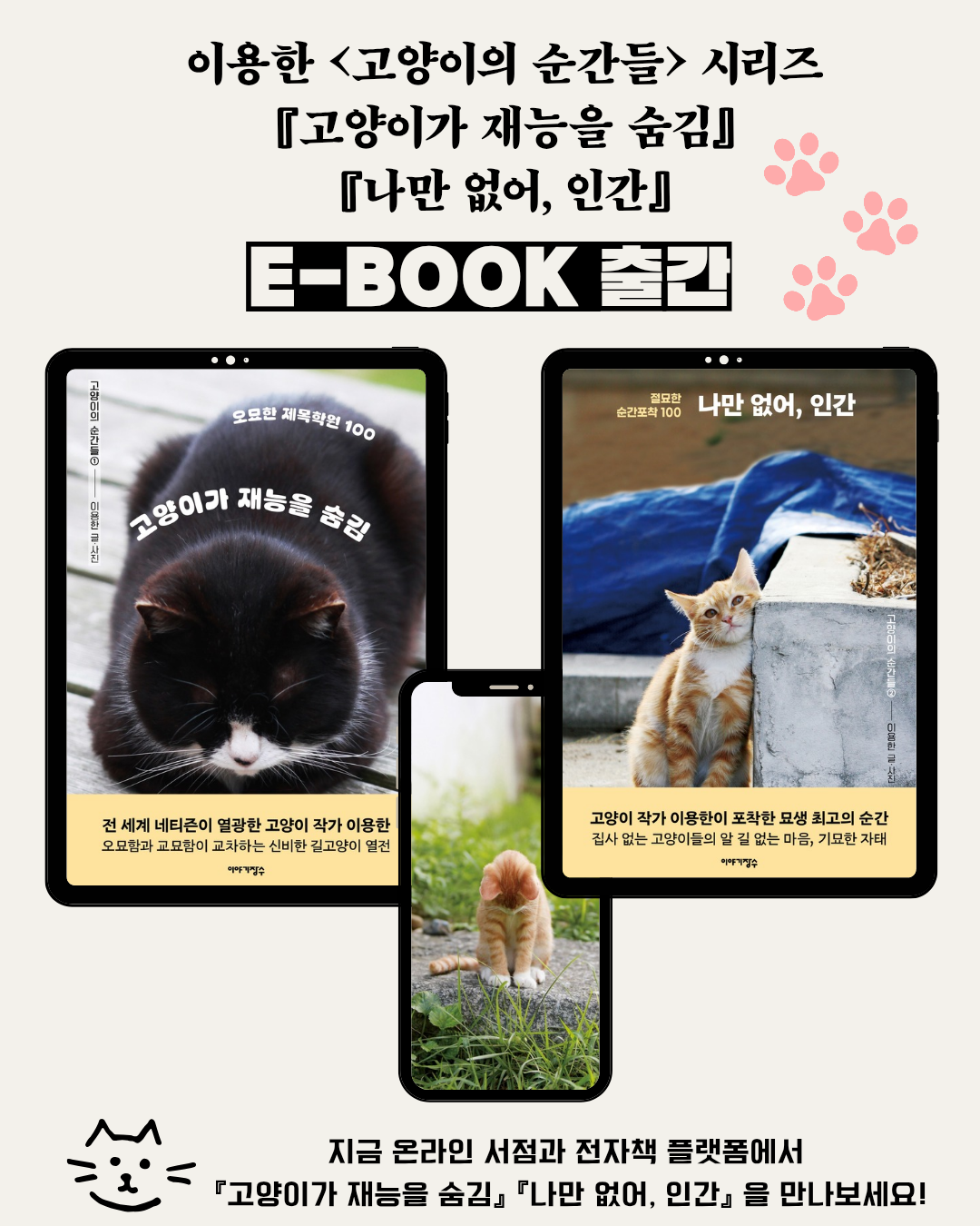 이용한 _고양이의 순간들_ 시리즈 고양이가 재능을 숨김_20250225_153804_0000.png