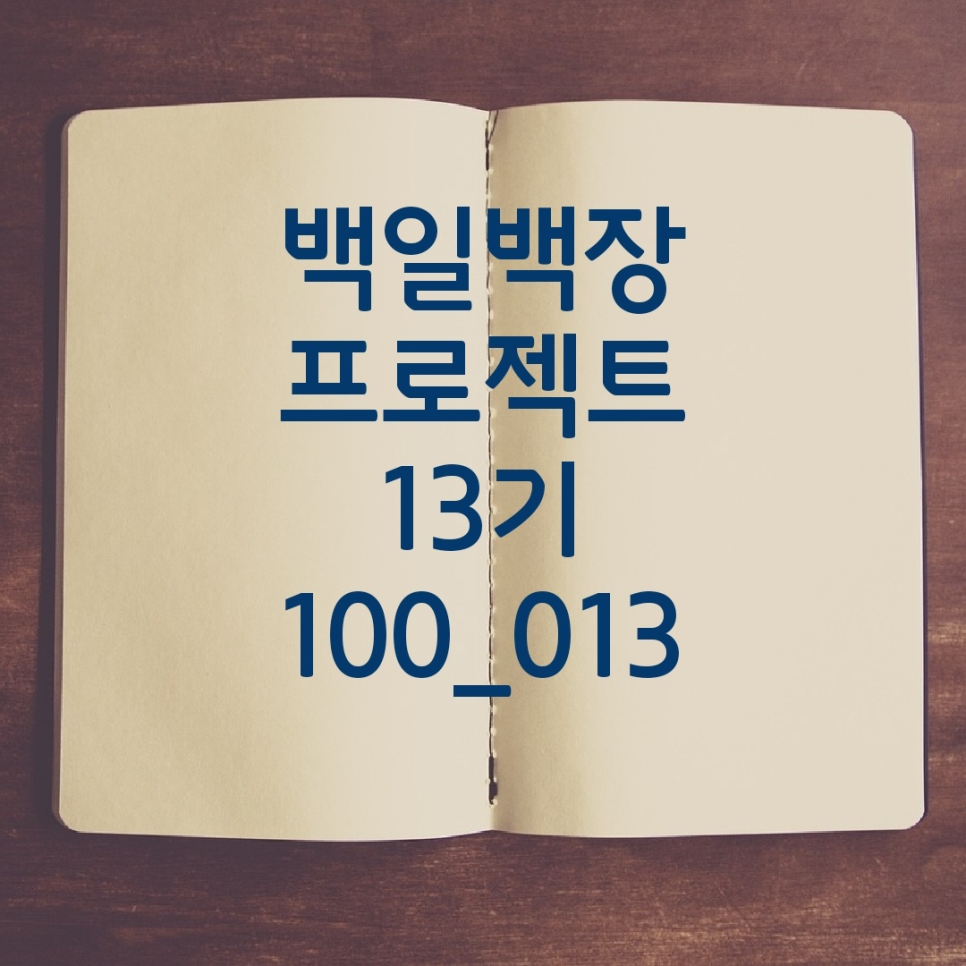 백백13.png