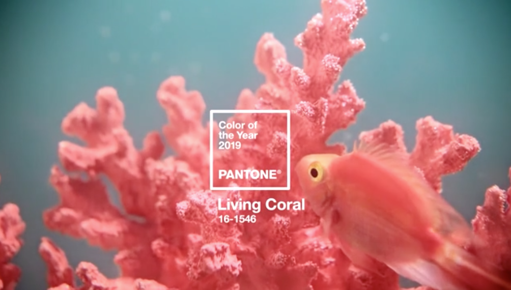 Screen Shot 2018-12-11 at 12.30.06 AM.png