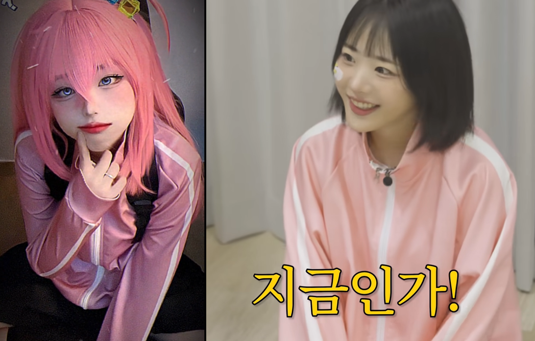 히나 고토 히토리.png