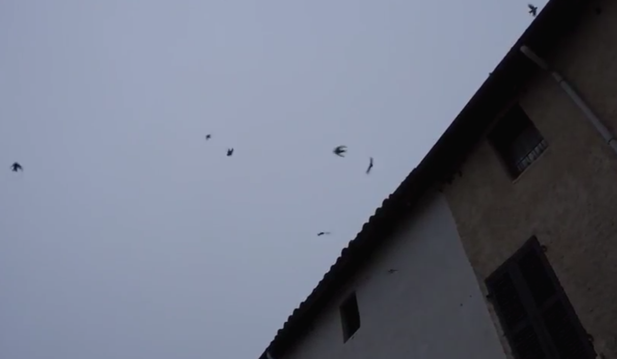 스크린샷 2018-02-03 오전 10.57.39.png