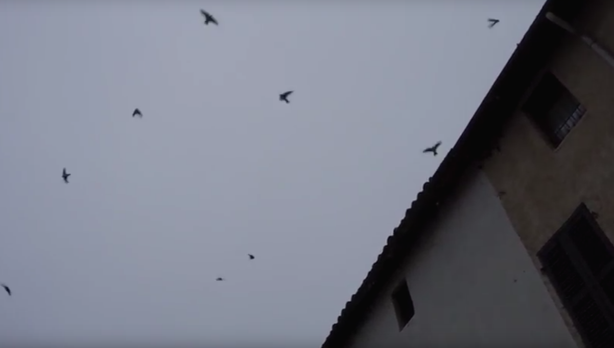 스크린샷 2018-02-03 오전 10.57.34.png