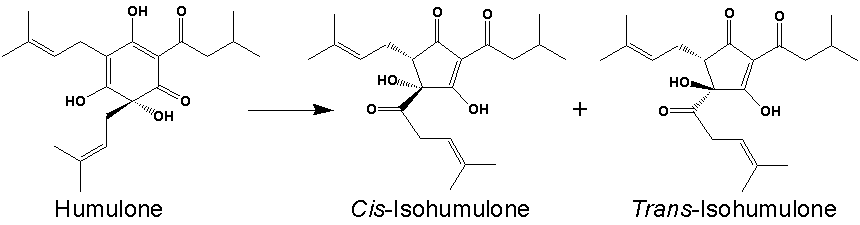 Reaction-degradation-humulone.png