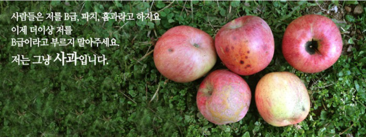 B급사과.png