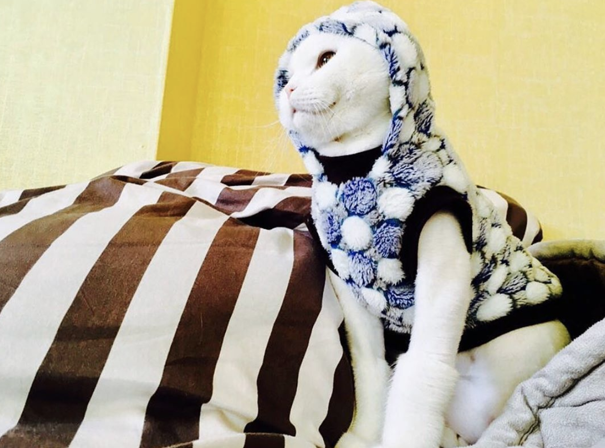 스크린샷 2019-12-08 오후 11.00.36.png