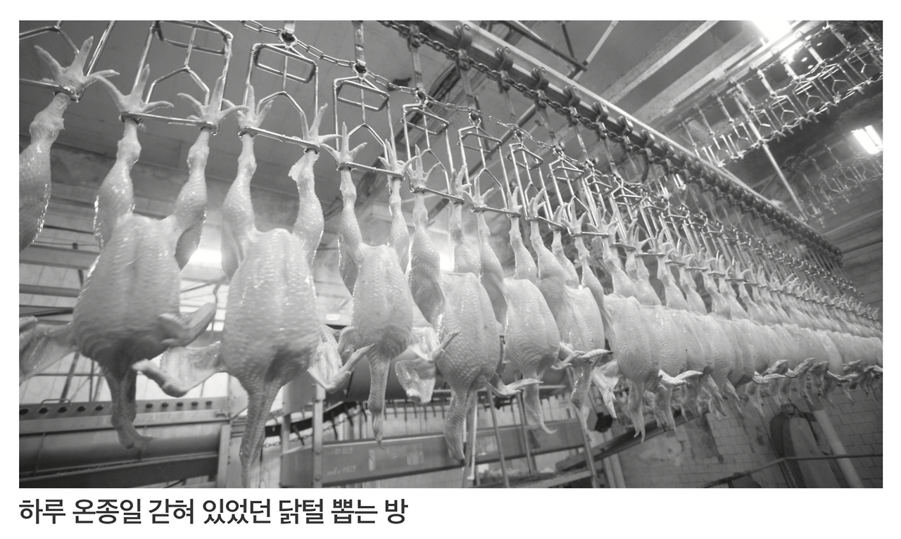 스크린샷 2019-08-14 오후 1.48.57.png