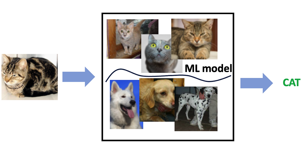 스크린샷 2024-01-21 오후 9.20.36.png