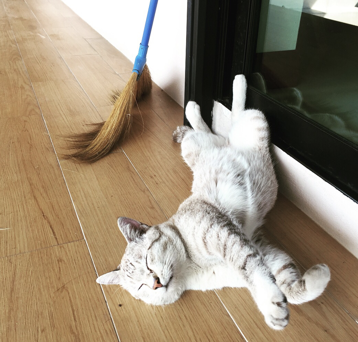 Screen Shot 2017-12-08 at 12.51.09 AM.png