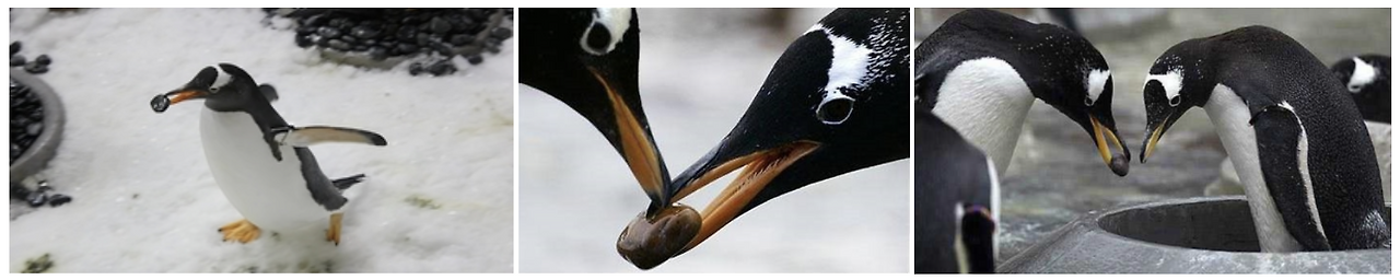 스크린샷 2025-08-05 오후 1.51.20.png